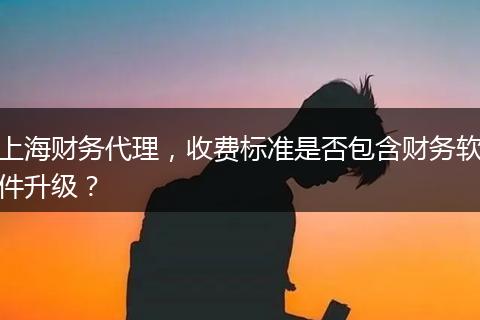 上海財務(wù)代理，收費(fèi)標(biāo)準(zhǔn)是否包含財務(wù)軟件升級？