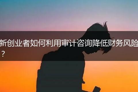 新創(chuàng)業(yè)者如何利用審計(jì)咨詢降低財(cái)務(wù)風(fēng)險(xiǎn)?