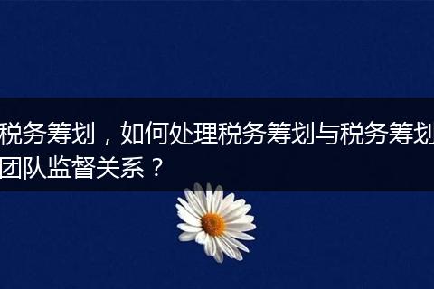 稅務(wù)籌劃，如何處理稅務(wù)籌劃與稅務(wù)籌劃團隊監(jiān)督關(guān)系？