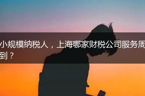小規(guī)模納稅人，上海哪家財(cái)稅公司服務(wù)周到？