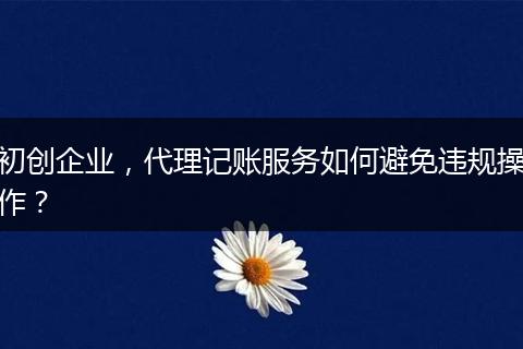 初創(chuàng)企業(yè)，代理記賬服務(wù)如何避免違規(guī)操作？