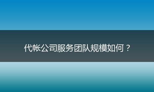 代帳公司服務(wù)團(tuán)隊(duì)規(guī)模如何？