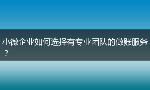 小微企業(yè)如何選擇有專業(yè)團隊的做賬服務(wù)？