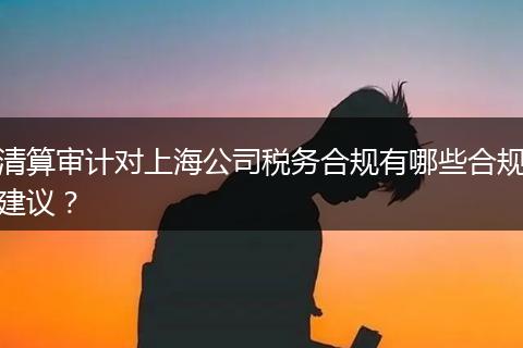 清算審計(jì)對(duì)上海公司稅務(wù)合規(guī)有哪些合規(guī)建議?