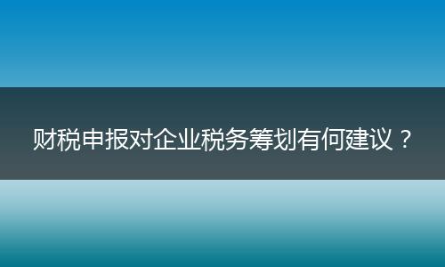 財(cái)稅申報(bào)對(duì)企業(yè)稅務(wù)籌劃有何建議？