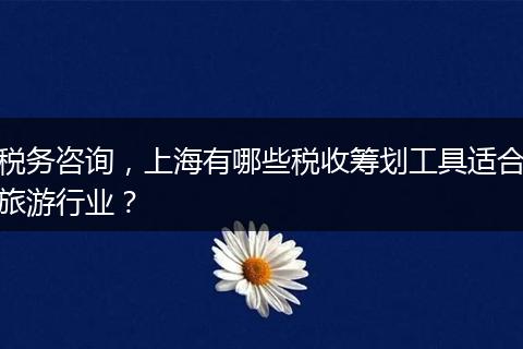 稅務(wù)咨詢，上海有哪些稅收籌劃工具適合旅游行業(yè)？