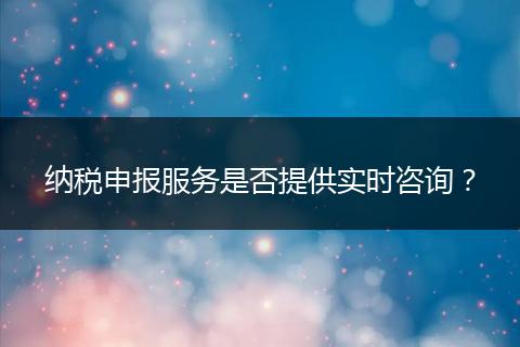 納稅申報服務是否提供實時咨詢？