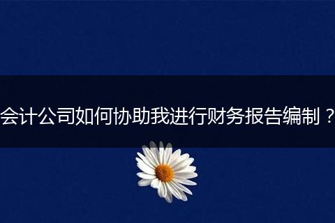 會(huì)計(jì)公司如何協(xié)助我進(jìn)行財(cái)務(wù)報(bào)告編制？