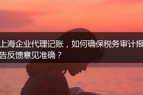 上海企業(yè)代理記賬，如何確保稅務(wù)審計報告反饋意見準確？