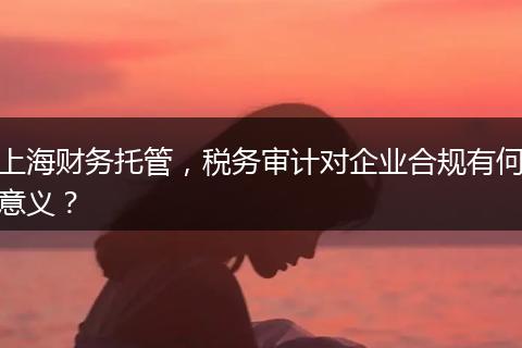 上海財務(wù)托管，稅務(wù)審計對企業(yè)合規(guī)有何意義？