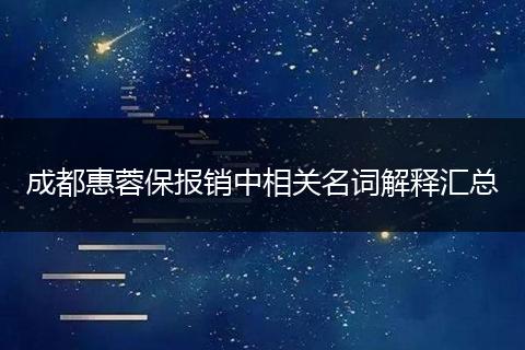 成都惠蓉保報(bào)銷(xiāo)中相關(guān)名詞解釋匯總