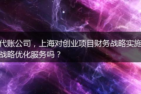 代賬公司，上海對(duì)創(chuàng)業(yè)項(xiàng)目財(cái)務(wù)戰(zhàn)略實(shí)施戰(zhàn)略優(yōu)化服務(wù)嗎？