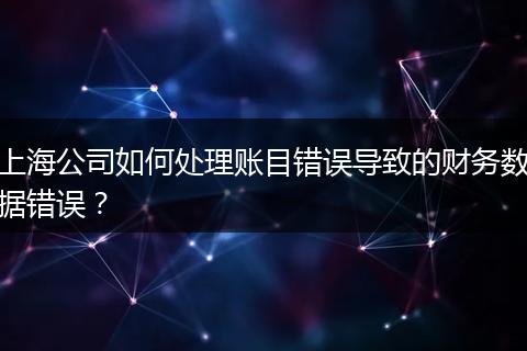 上海公司如何處理賬目錯誤導致的財務(wù)數(shù)據(jù)錯誤？