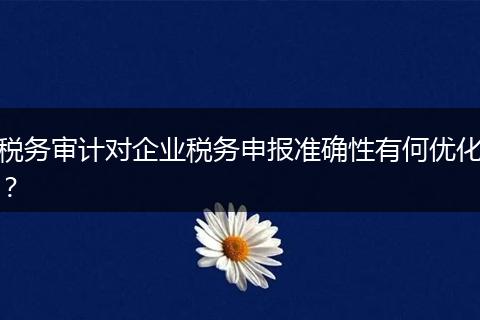 稅務(wù)審計(jì)對(duì)企業(yè)稅務(wù)申報(bào)準(zhǔn)確性有何優(yōu)化？