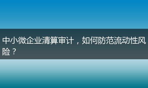 中小微企業(yè)清算審計(jì)，如何防范流動(dòng)性風(fēng)險(xiǎn)？