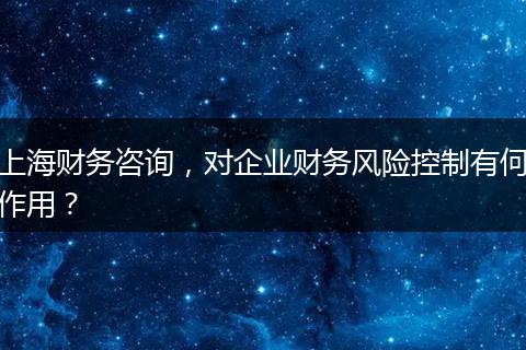 上海財(cái)務(wù)咨詢，對企業(yè)財(cái)務(wù)風(fēng)險(xiǎn)控制有何作用？