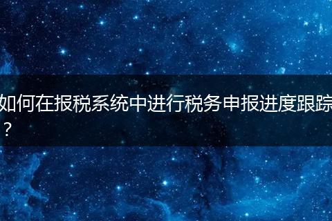 如何在報(bào)稅系統(tǒng)中進(jìn)行稅務(wù)申報(bào)進(jìn)度跟蹤？