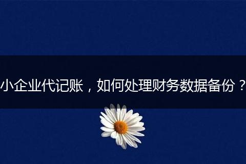 小企業(yè)代記賬，如何處理財(cái)務(wù)數(shù)據(jù)備份？