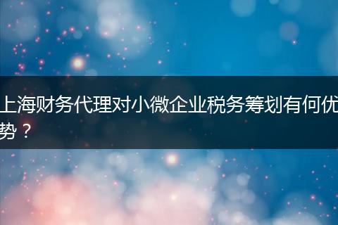 上海財(cái)務(wù)代理對(duì)小微企業(yè)稅務(wù)籌劃有何優(yōu)勢(shì)？