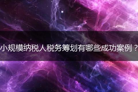 小規(guī)模納稅人稅務籌劃有哪些成功案例？