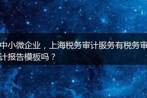 中小微企業(yè)，上海稅務(wù)審計(jì)服務(wù)有稅務(wù)審計(jì)報(bào)告模板嗎？