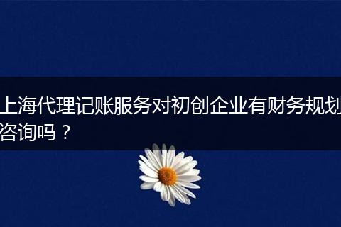 上海代理記賬服務對初創(chuàng)企業(yè)有財務規(guī)劃咨詢嗎？