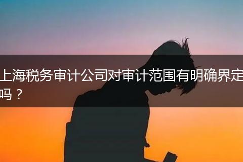 上海稅務審計公司對審計范圍有明確界定嗎？