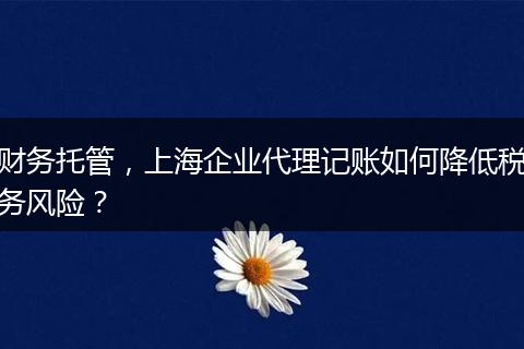 財(cái)務(wù)托管，上海企業(yè)代理記賬如何降低稅務(wù)風(fēng)險(xiǎn)？