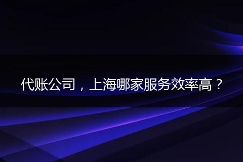 代賬公司，上海哪家服務(wù)效率高？