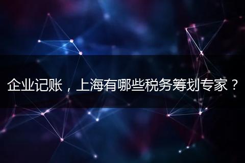 企業(yè)記賬，上海有哪些稅務(wù)籌劃專家？