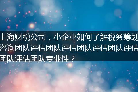 上海財稅公司，小企業(yè)如何了解稅務(wù)籌劃咨詢團隊評估團隊評估團隊評估團隊評估團隊評估團隊專業(yè)性？