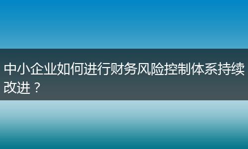 中小企業(yè)如何進行財務風險控制體系持續(xù)改進？