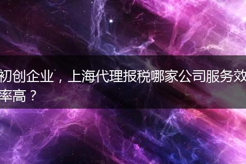 初創(chuàng)企業(yè)，上海代理報(bào)稅哪家公司服務(wù)效率高？