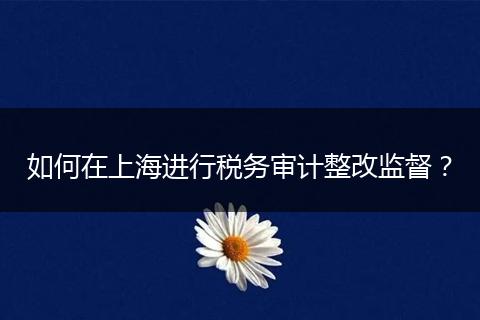 如何在上海進行稅務審計整改監(jiān)督？