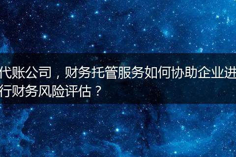 代賬公司，財(cái)務(wù)托管服務(wù)如何協(xié)助企業(yè)進(jìn)行財(cái)務(wù)風(fēng)險(xiǎn)評估？