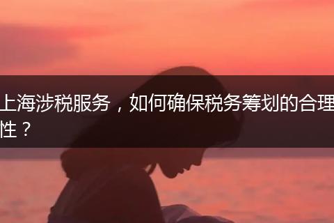 上海涉稅服務(wù)，如何確保稅務(wù)籌劃的合理性？