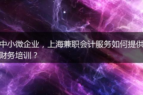 中小微企業(yè)，上海兼職會(huì)計(jì)服務(wù)如何提供財(cái)務(wù)培訓(xùn)？