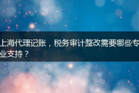上海代理記賬，稅務(wù)審計整改需要哪些專業(yè)支持？