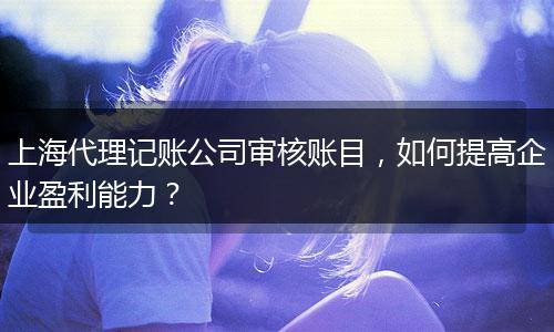 上海代理記賬公司審核賬目，如何提高企業(yè)盈利能力？