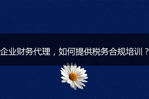 企業(yè)財(cái)務(wù)代理，如何提供稅務(wù)合規(guī)培訓(xùn)？