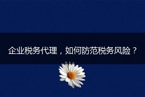企業(yè)稅務(wù)代理，如何防范稅務(wù)風(fēng)險？
