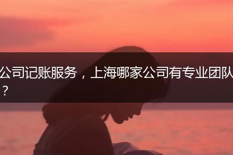 公司記賬服務(wù)，上海哪家公司有專業(yè)團(tuán)隊(duì)？