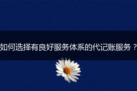 如何選擇有良好服務(wù)體系的代記賬服務(wù)？