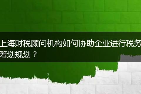上海財(cái)稅顧問機(jī)構(gòu)如何協(xié)助企業(yè)進(jìn)行稅務(wù)籌劃規(guī)劃？