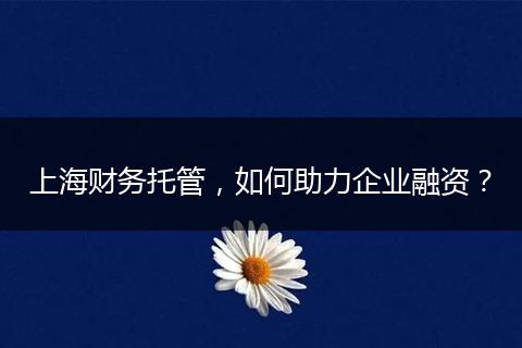 上海財(cái)務(wù)托管，如何助力企業(yè)融資？