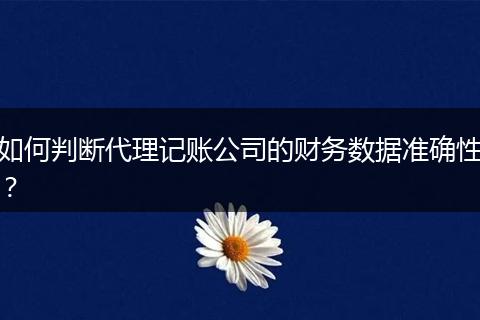 如何判斷代理記賬公司的財務數(shù)據(jù)準確性？