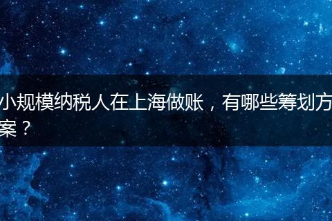小規(guī)模納稅人在上海做賬，有哪些籌劃方案？