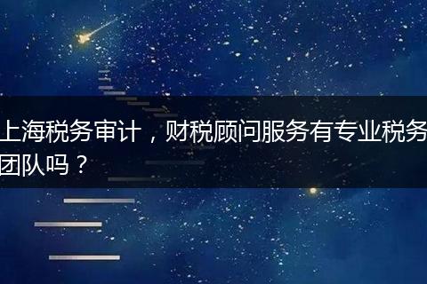 上海稅務(wù)審計(jì)，財(cái)稅顧問(wèn)服務(wù)有專業(yè)稅務(wù)團(tuán)隊(duì)嗎？