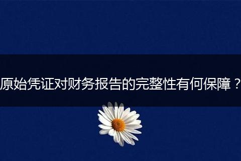 原始憑證對(duì)財(cái)務(wù)報(bào)告的完整性有何保障？