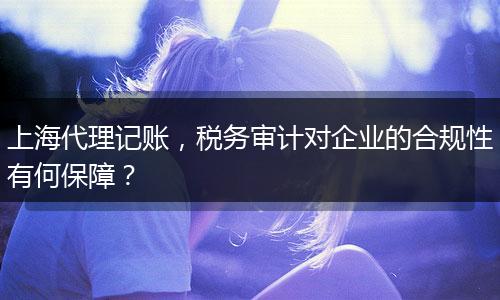 上海代理記賬，稅務(wù)審計對企業(yè)的合規(guī)性有何保障？